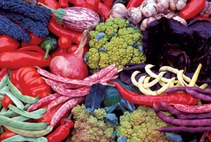 
A selection of Cavagnaro’s delicious heirloom Italian vegetables.
